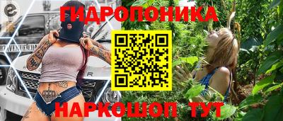 крисы Гусев
