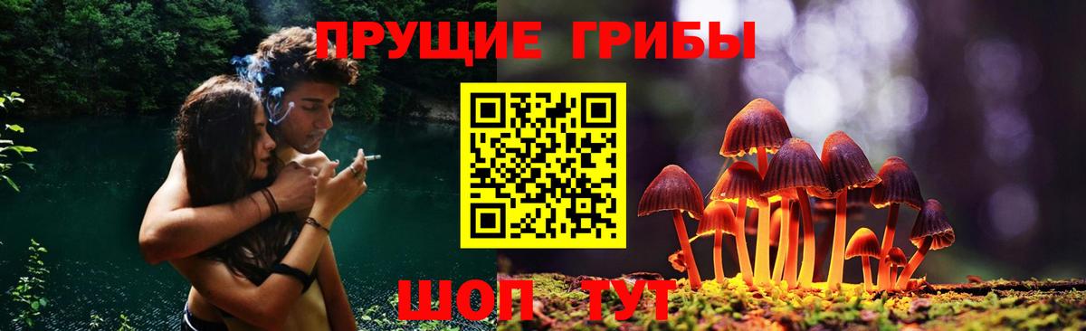 Галлюциногенные грибы Magic Shrooms  Вход с VPN  Нефтекамск  Галлюциногенные грибы Psilocybine cubensis 